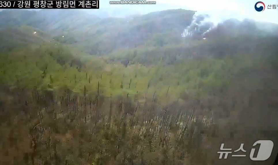 강원 평창 방림면 계촌리 산불 현장.(강원도 제공, 재판매 및 DB금지)