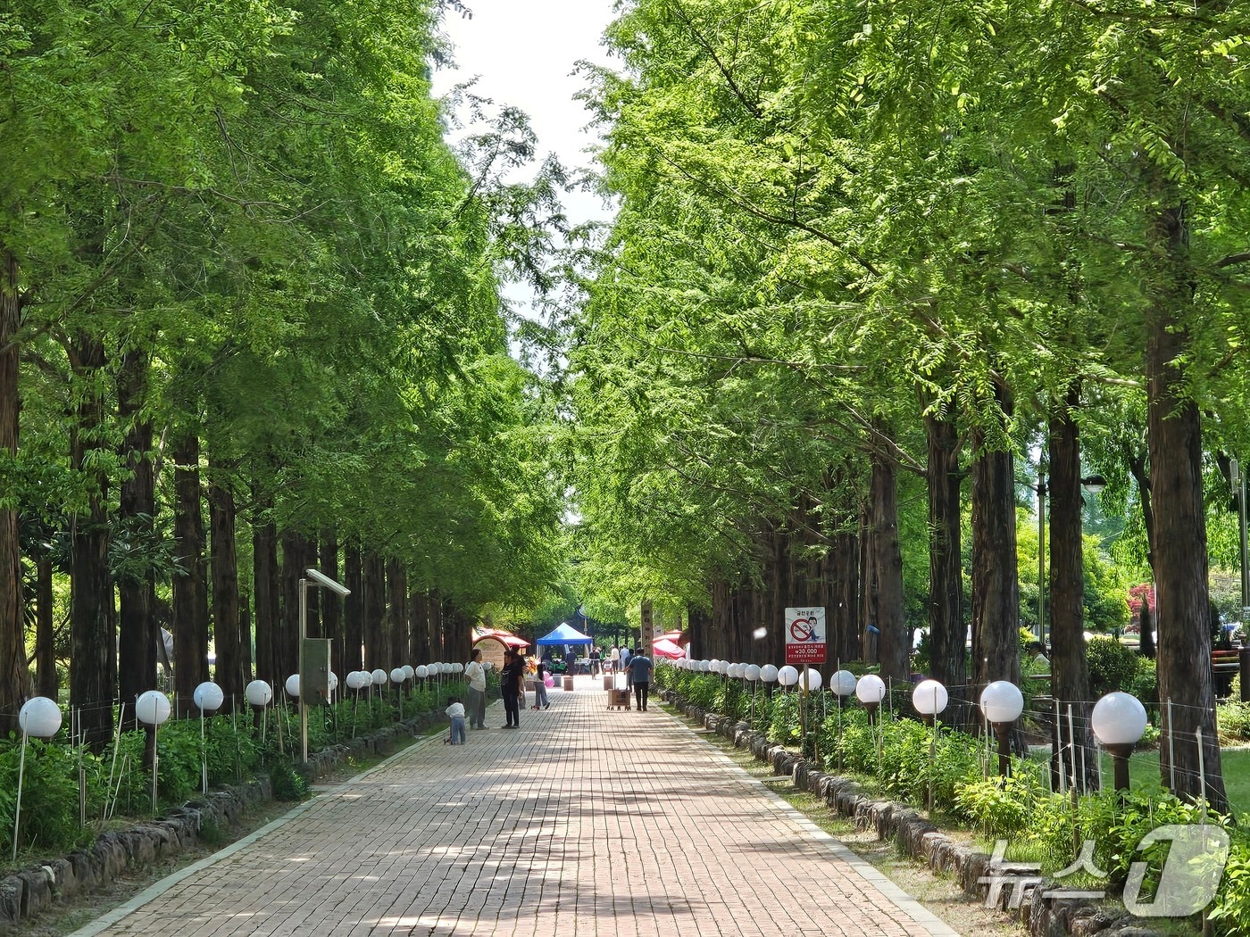 26일 경남 진주시 초전공원을 방문한 시민들이 산책을 하고 있다. 2026.4.26/뉴스1 한송학기자