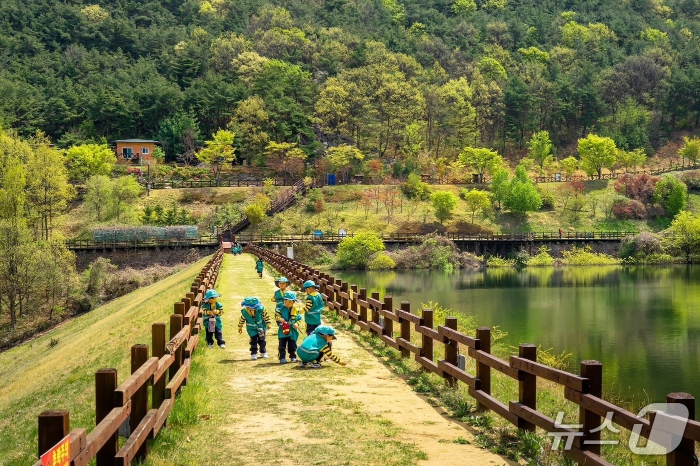구미 옥성자연휴양림 모습(구미시 제공. 재판매 및 DB금지)/뉴스1