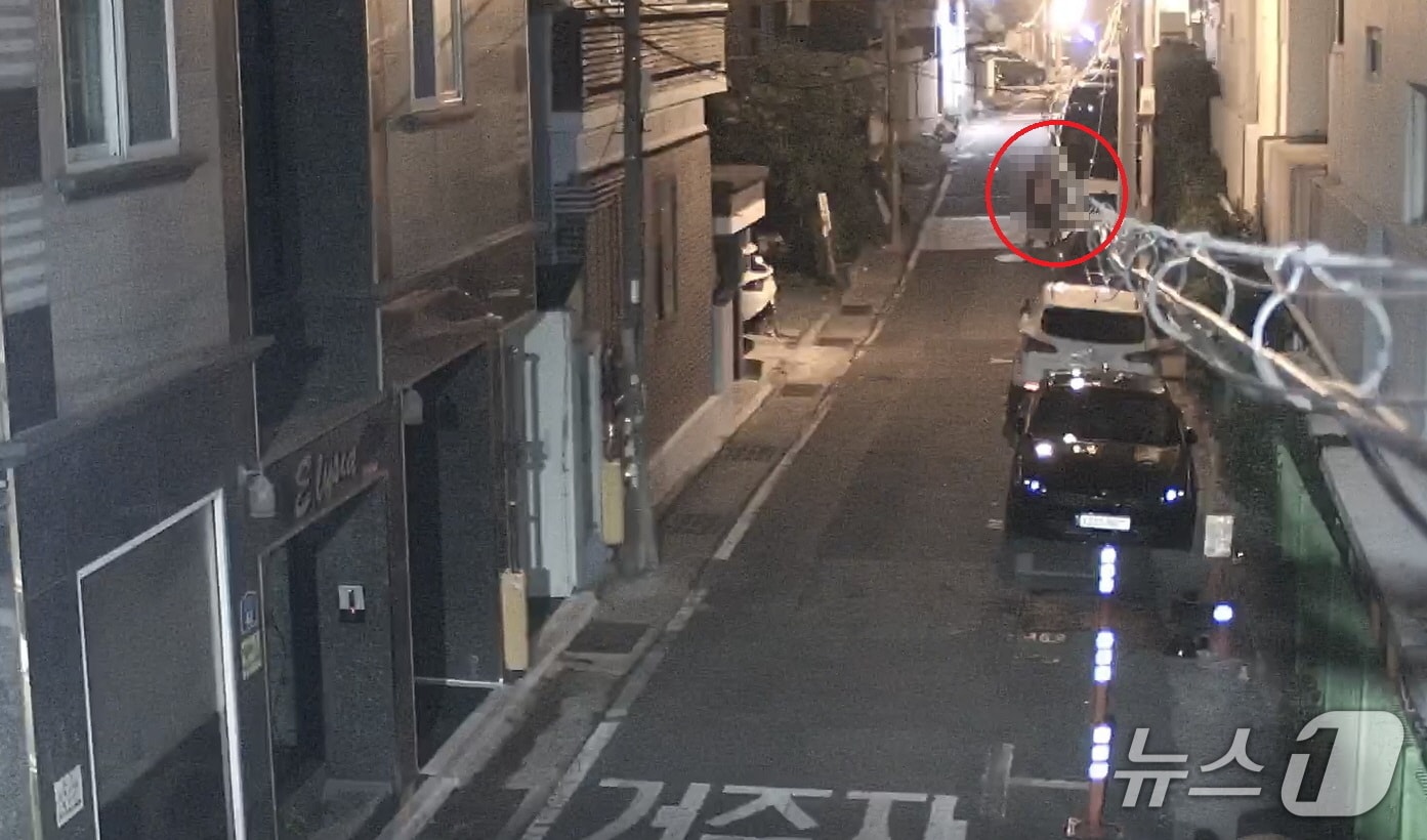 27일 오전 2시 21분께 울산 중구 반구동의 한 주택가에서 40대 남성이 차량털이를 시도하고 있다.(울산 중구 제공. 재판매 및 DB금지)/뉴스1