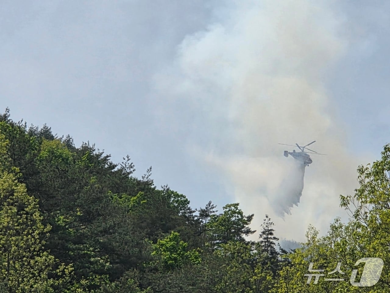 27일 낮 12시쯤 충북 영동군 상촌면 하도대리 인근에서 발생한 산불이 2시간 20분 만에 진화됐다.(영동군 제공. 재판매 및 DB금지) 