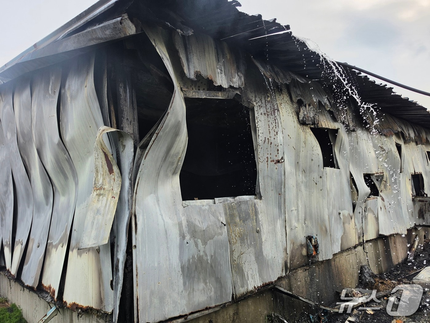  음성군 금왕읍 호산리 돼지축사 화재 현장(음성소방서 제공. 재판매 및 DB금지)