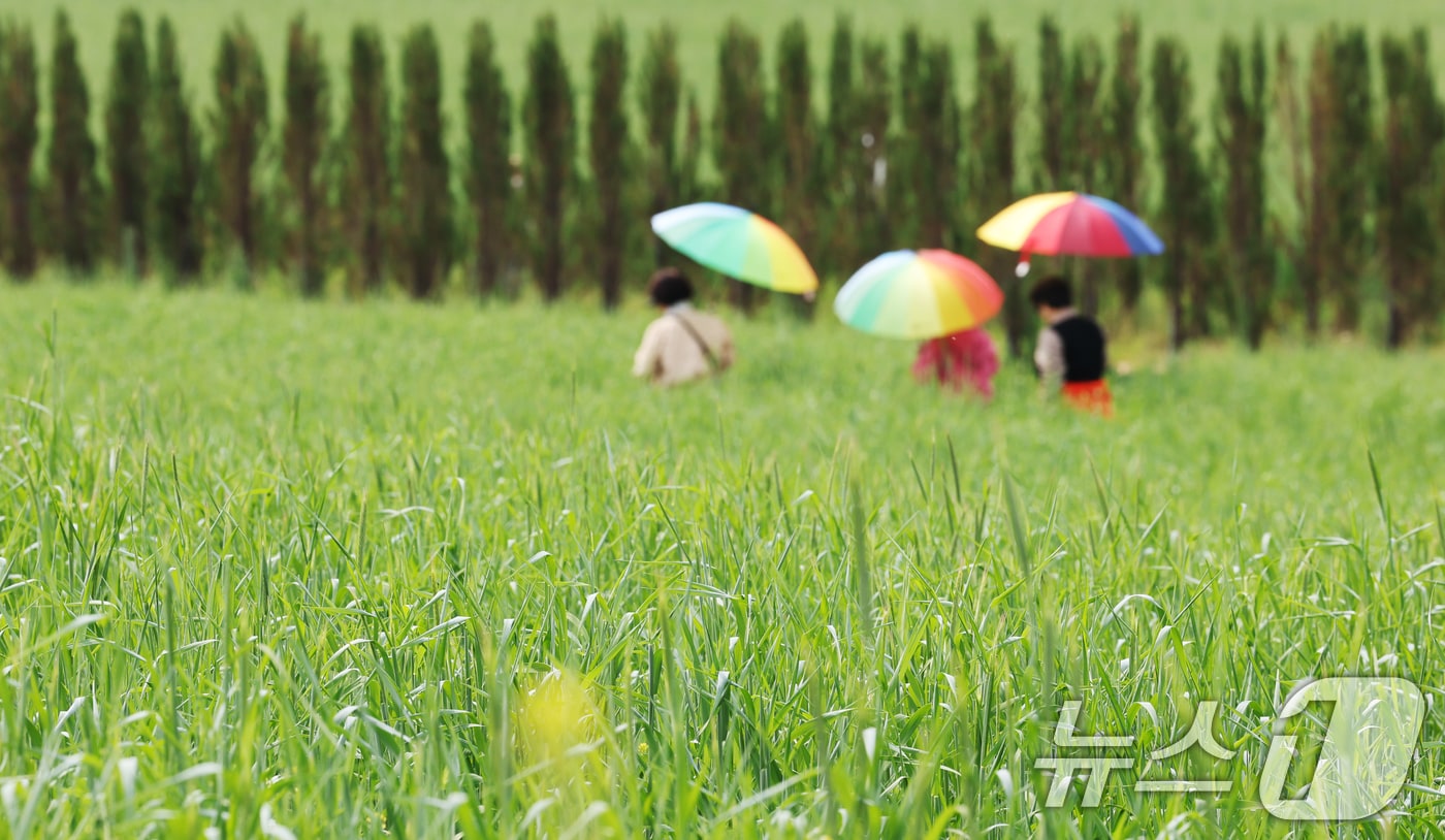 완연한 봄날씨.(자료사진)/뉴스1 DB