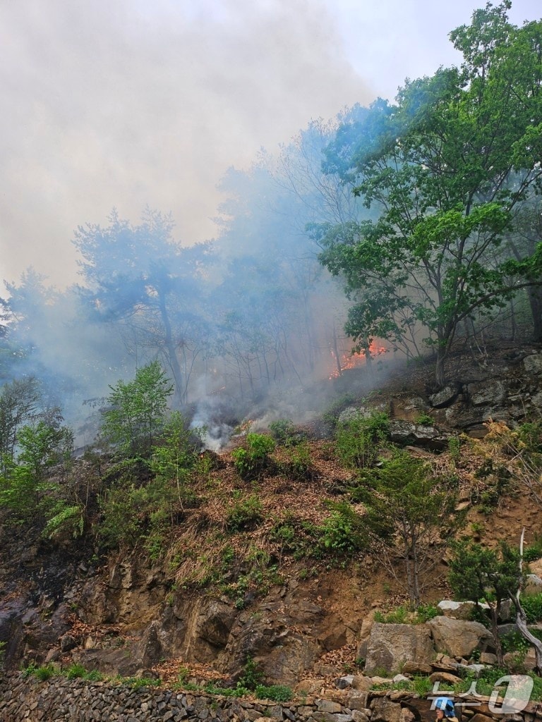 강원 화천 간동면 방천리 산불 현장.(강원도 제공, 재판매 및 DB금지)