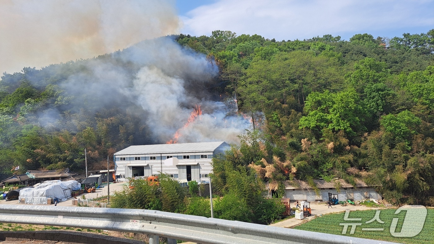 27일 오후 3시 10분쯤 경북 고령군 성산면 한 대나무밭에서 시작된 불이 야산으로 번지고 있다.(경북소방본부 제공 재판매 및 DB 금지)2026.4.27/뉴스1