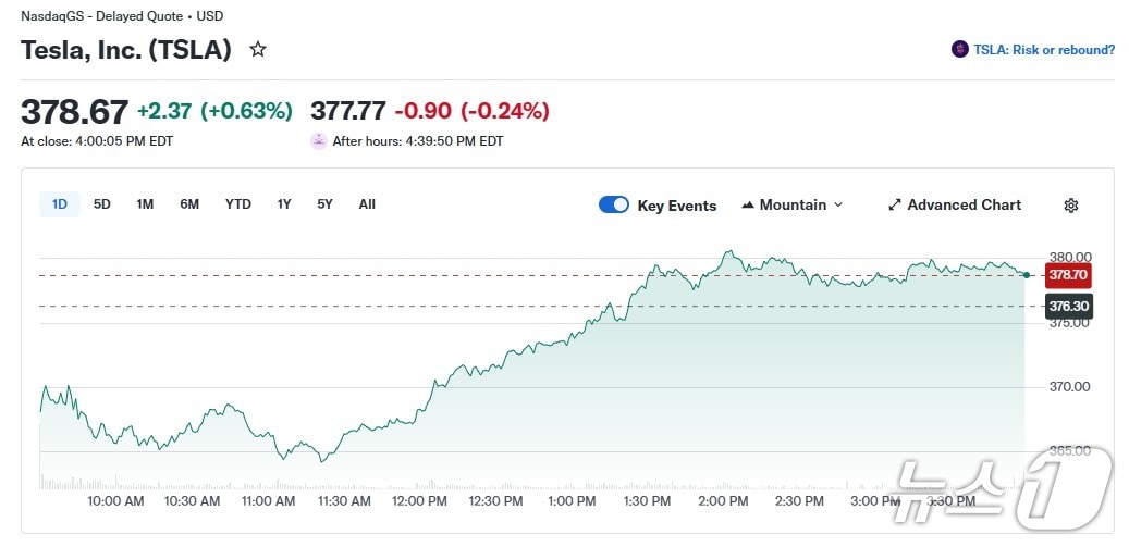 테슬라 일일 주가 추이 - 야후 파이낸스 갈무리