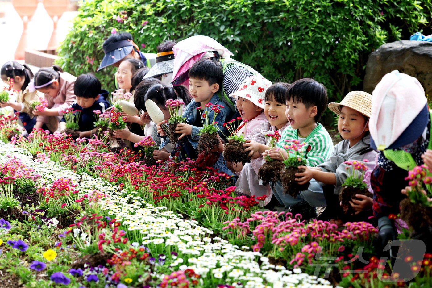 28일 광주 북구청 광장에서 공원녹지과 직원들과 북구청 어린이집 아이들이 메리골드, 백일홍 등 여름꽃을 식재하고 있다. (광주 북구 제공. 재판매 및 DB 금지)
