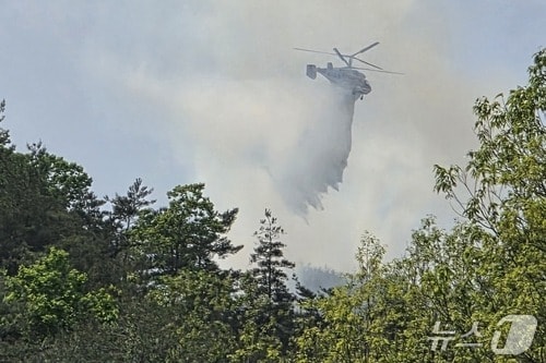 28일 오전 11시 31분쯤 충북 영동군 상촌면의 야산에서 재발한 산불이 1시간 45분여 만에 진화됐다.(영동군 제공. 재판매 및 DB금지) 