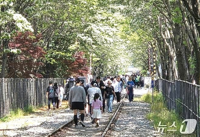 4월 26일 오전 11시께 전북 전주시 덕진구 팔복예술공장 인근 철길에 이팝나무가 만개했다.2026.4.26/뉴스1 문채연 기자