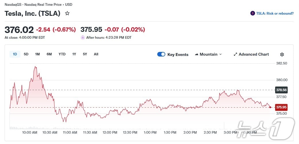 테슬라 일일 주가 추이 - 야후 파이낸스 갈무리