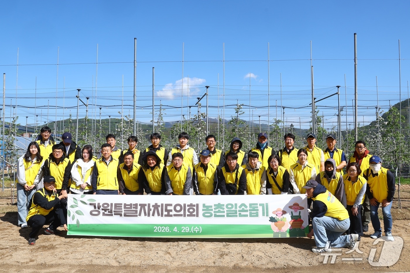 농촌일손돕기.(강원도의회 제공. 재판매 및 DB금지)/뉴스1