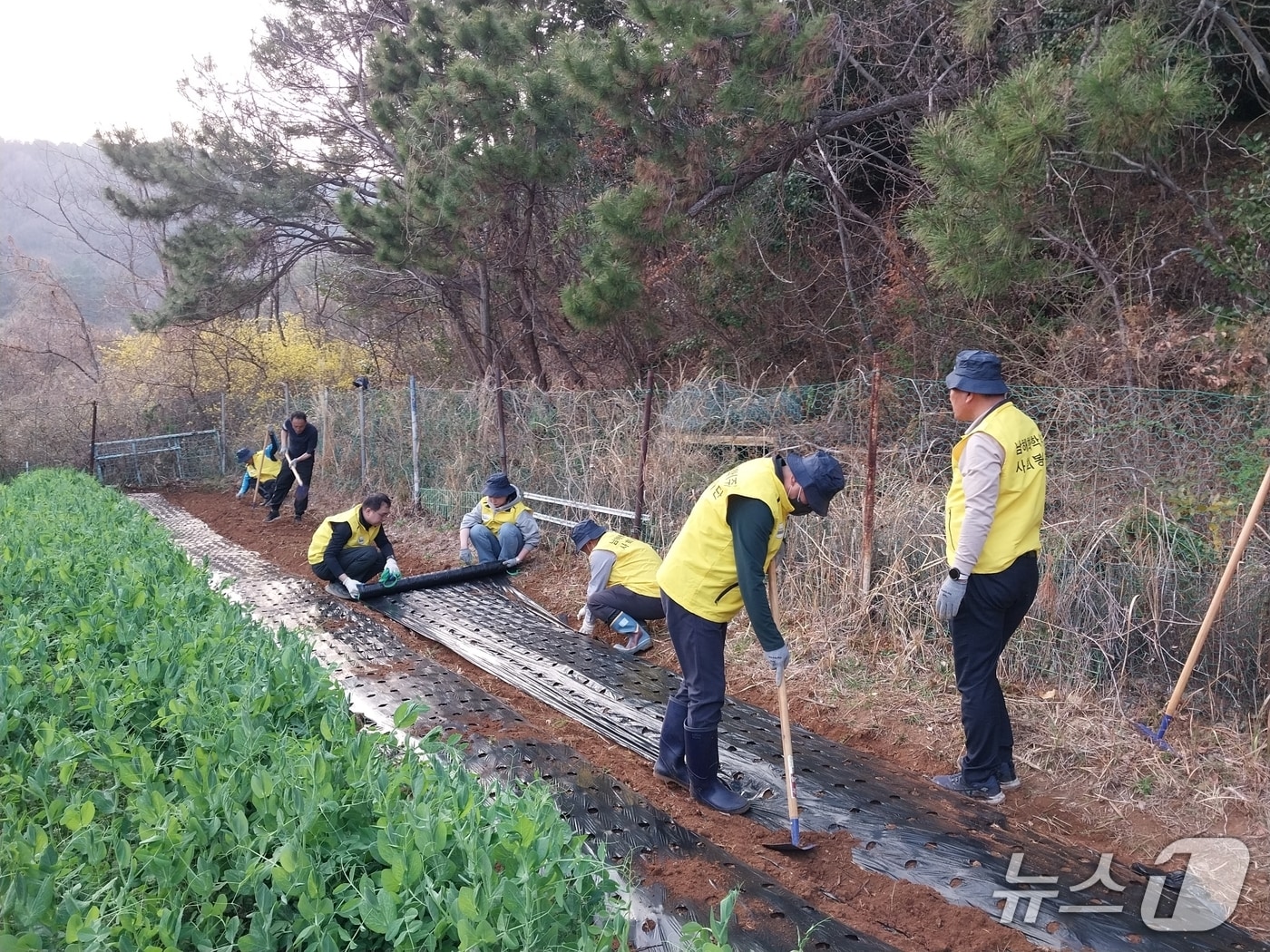 남해화학 사회봉사단이 어르신 공동생활가정인 '예리고의집'을 방문해 텃밭조성 봉사활동을 진행하고 있다. (남해화학 제공. 재판매 및 DB금지)
