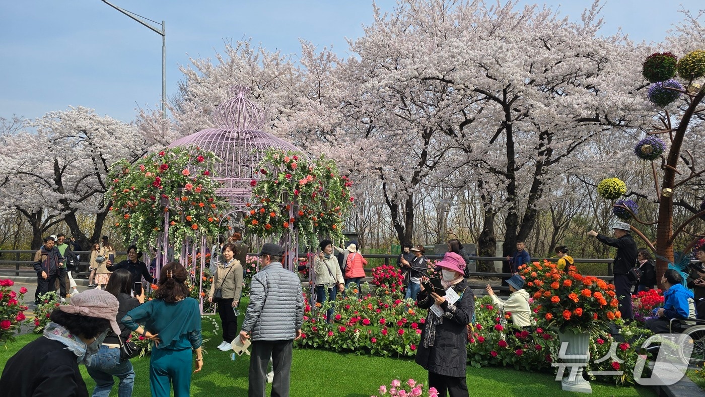 2026 벚꽃 명소 베스트 10 — 올해 꼭 가봐야 할 전국 벚꽃길 총정리 석촌호수 벚꽃