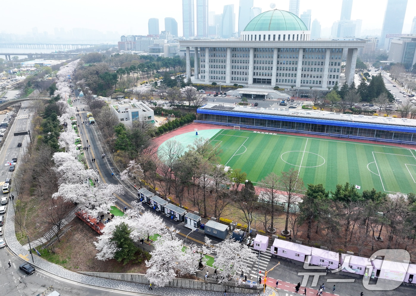 '여의도 봄꽃축제'가 시작된 3일 서울 여의서로 일대에 벚꽃이 만개해 있다. 2026년 여의도 봄꽃축제는 이날부터 7일까지 5일간 개최된다. 2026.4.3 ⓒ 뉴스1 최지환 기자