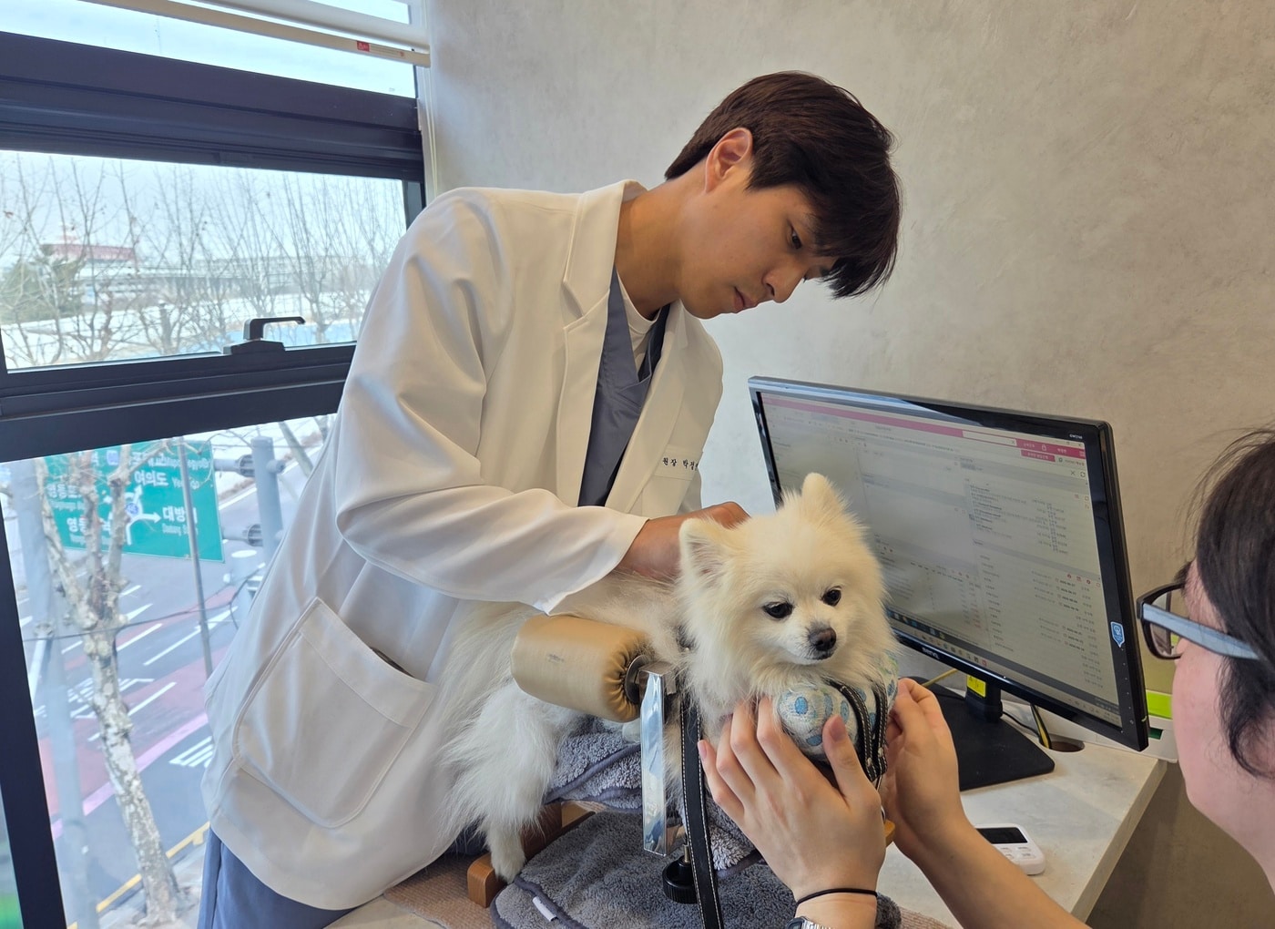 "수의계 공유라 불린다"...통합의학으로 치료를 '디자인'하는 수의사 - 뉴스 썸네일 이미지