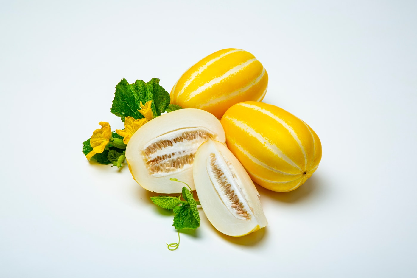 클립아트코리아