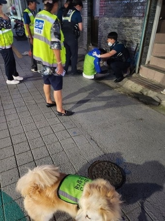 진풍이 취객 신고(서울시 제공)