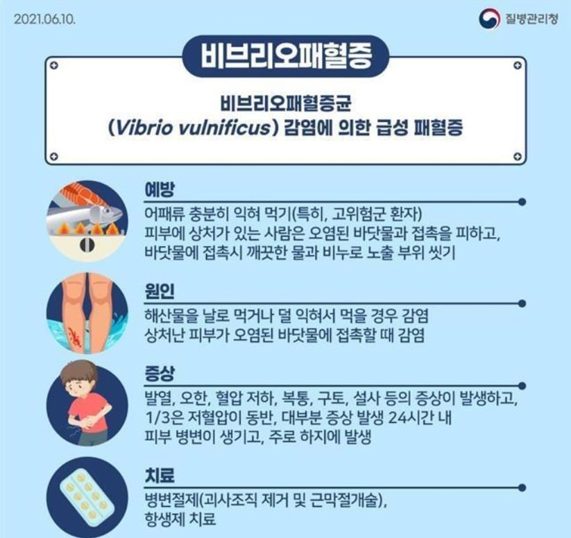 비브리오패혈증 카드뉴스(질병관리청 제공)ⓒ 뉴스1