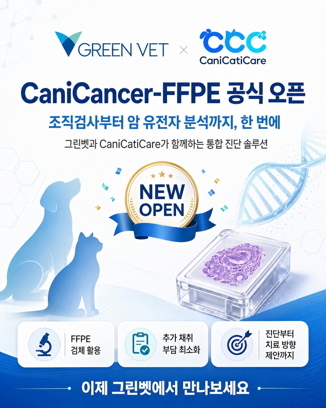 반려동물 종양검사, 한 번으로 끝낸다...그린벳 통합 종양진단 모델 - 뉴스 썸네일 이미지