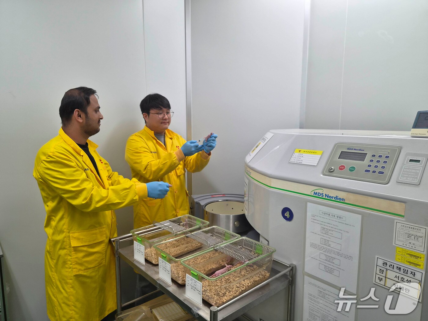헤스페리딘 효능의 평가 실험 중인 한국원자력연구원 연구진(원자력연 제공) /뉴스1