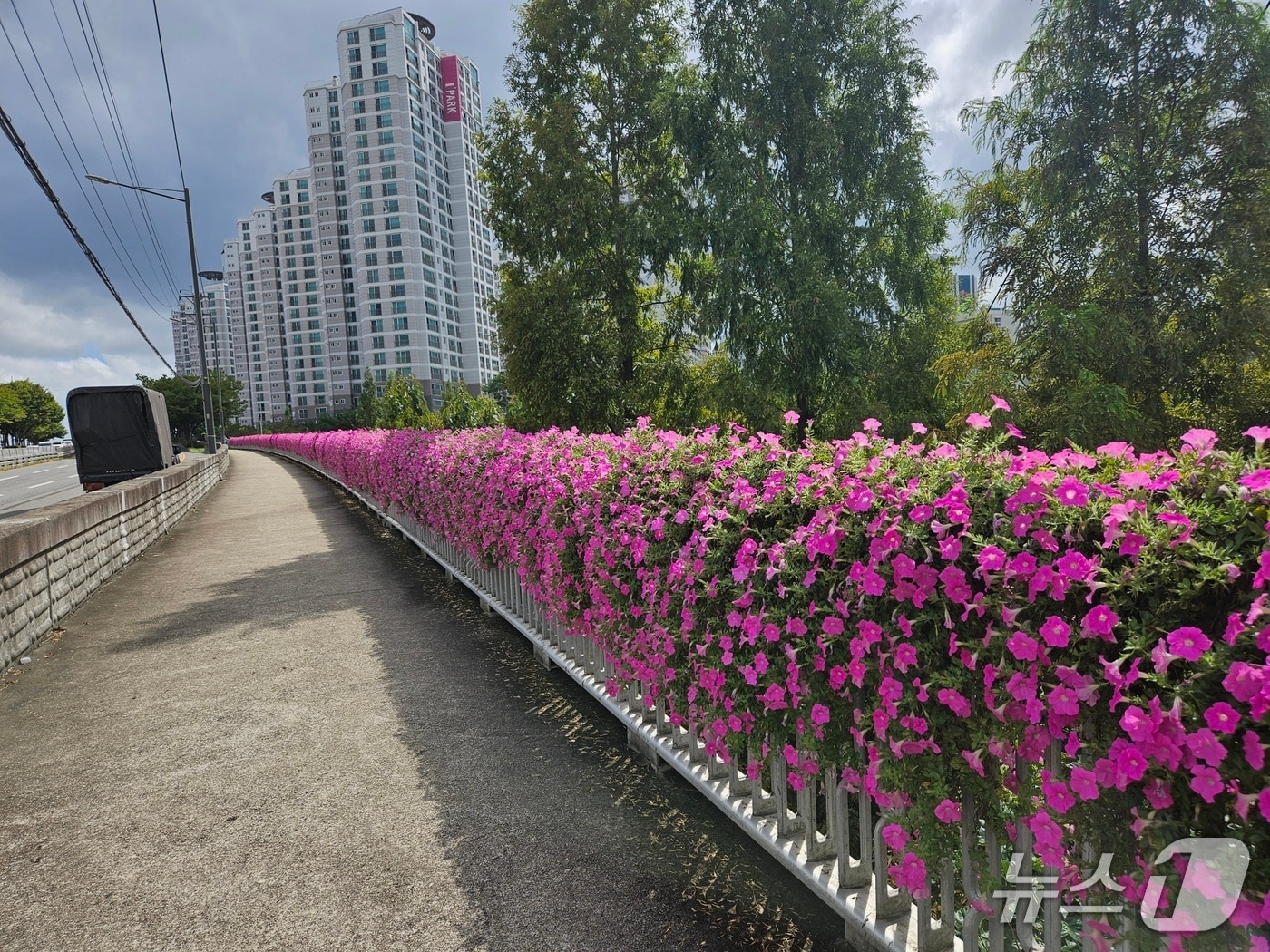 울산 중구의 한 교량 난간에 설치된 꽃걸이(울산 중구 ㅁ제공. 재판매 및 DB금지)/뉴스1