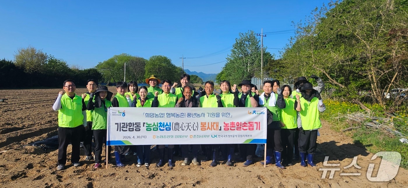 농협 강원본부·LX 강원본부, 영농철 '농심천심' 합동 일손돕기.(농협 강원본부 제공. 재판매 및 DB금지)/뉴스1