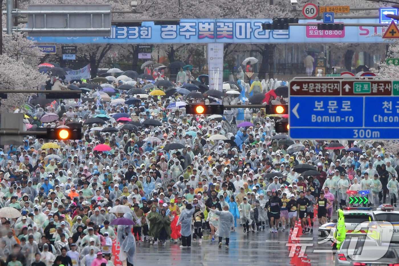 4일 경북 경주시 보문단지에서 열린 제33회 경주벚꽃미라톤 대회에서 참가자들이 출발 신호에 맞춰 힘차게 달리고 있다. 2026.4.4 ⓒ 뉴스1 최창호 기자