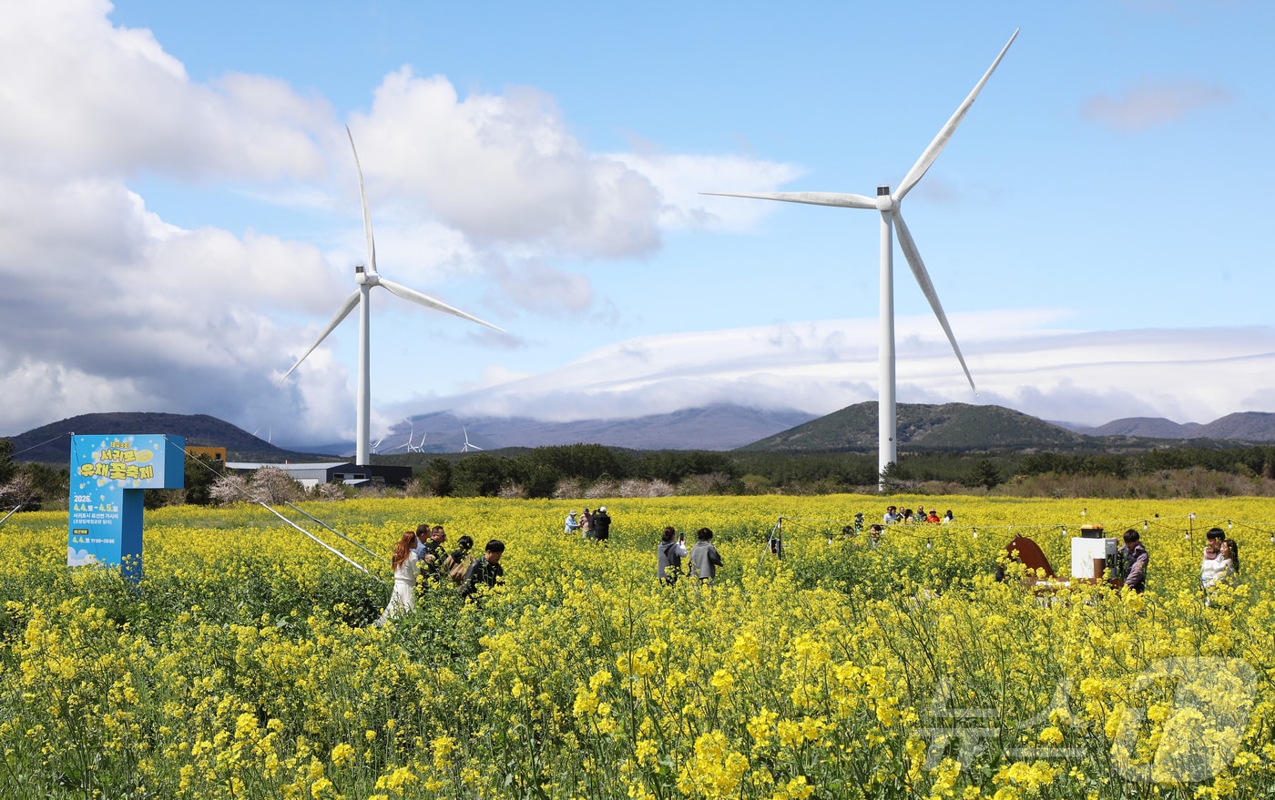 4일 오전 제주 서귀포시 표선면 가시리에서 열린 제43회 서귀포유채꽃축제에서 상춘객들이 봄기운을 만끽하고 있다. 2026.4.4 ⓒ 뉴스1 오미란 기자
