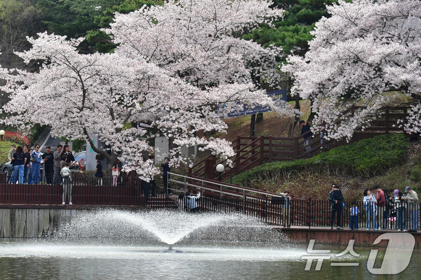 경북 포항시 남구 지곡동 영일대 호수공원에 모습.2026.4.5 ⓒ 뉴스1 최창호 기자