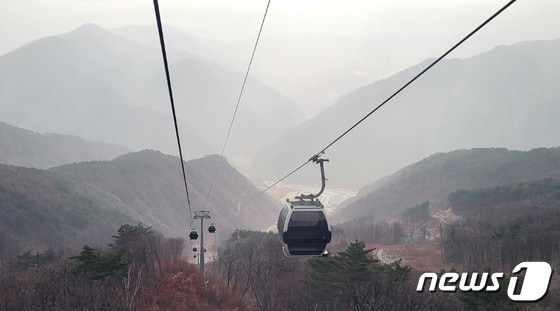 강원 정선군 가리왕산케이블카 자료 사진. (뉴스1 DB)