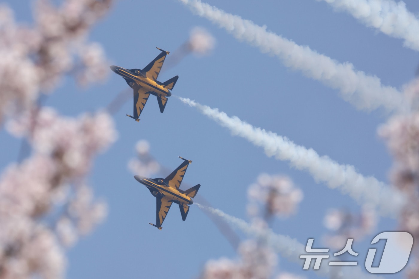 자료사진 ⓒ 뉴스1 최지환 기자