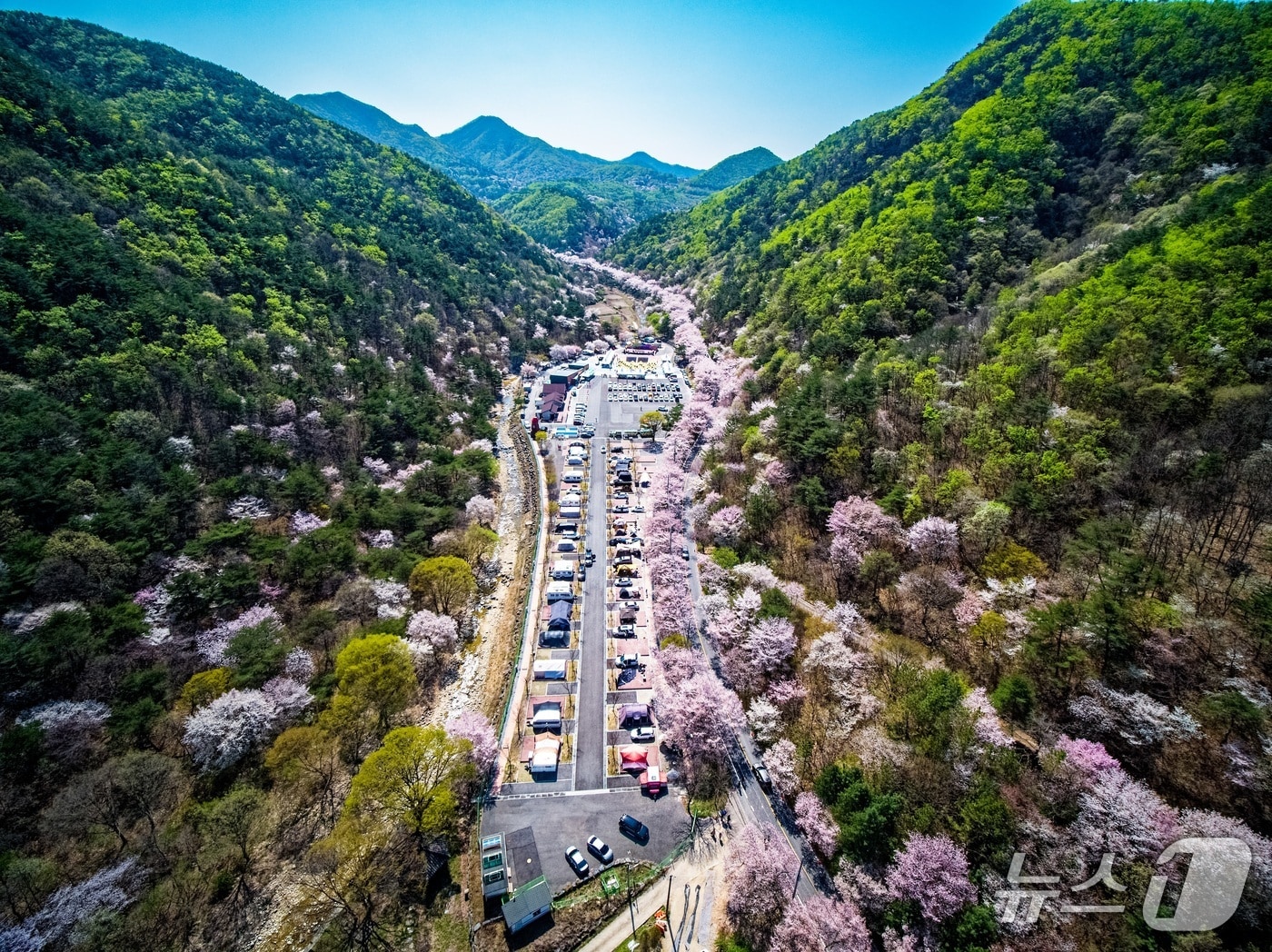 산꽃벚꽃마을 오토캠핑장(금산군 제공.재판매 및 DB금지)/뉴스1