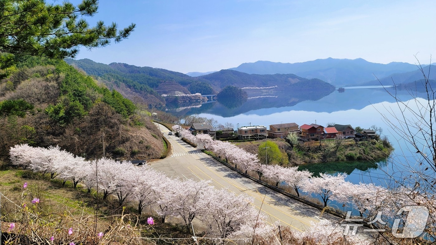 6일 전북 진안군이 '2026-2027 방문의 해'를 맞아 봄철 대표 관광 콘텐츠로 진안고원 벚꽃 여행을 추천했다. 사진은 용담호.(진안군제공, 재판매 및 DB금지)2026.4.6/뉴스1