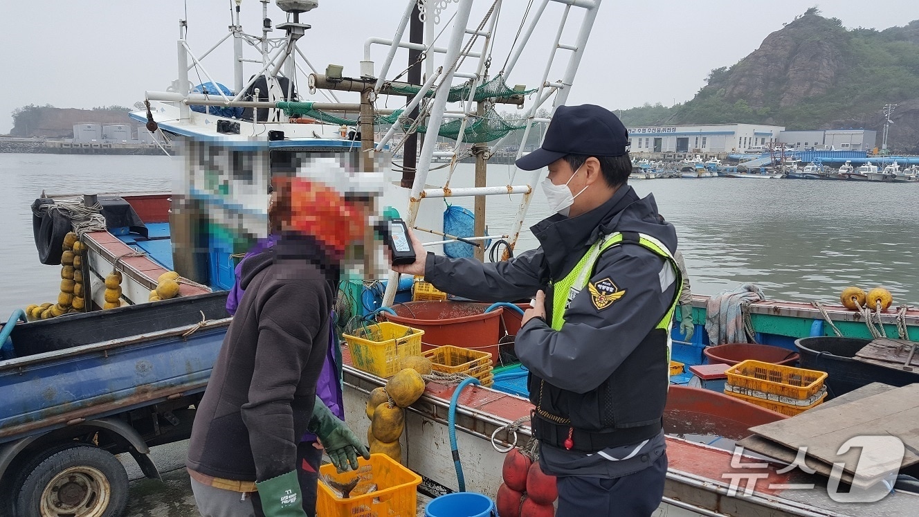  낚시어선 음주운전 단속 중인 해경. (보령해경 제공, 재판매 및 DB금지) / 뉴스1
