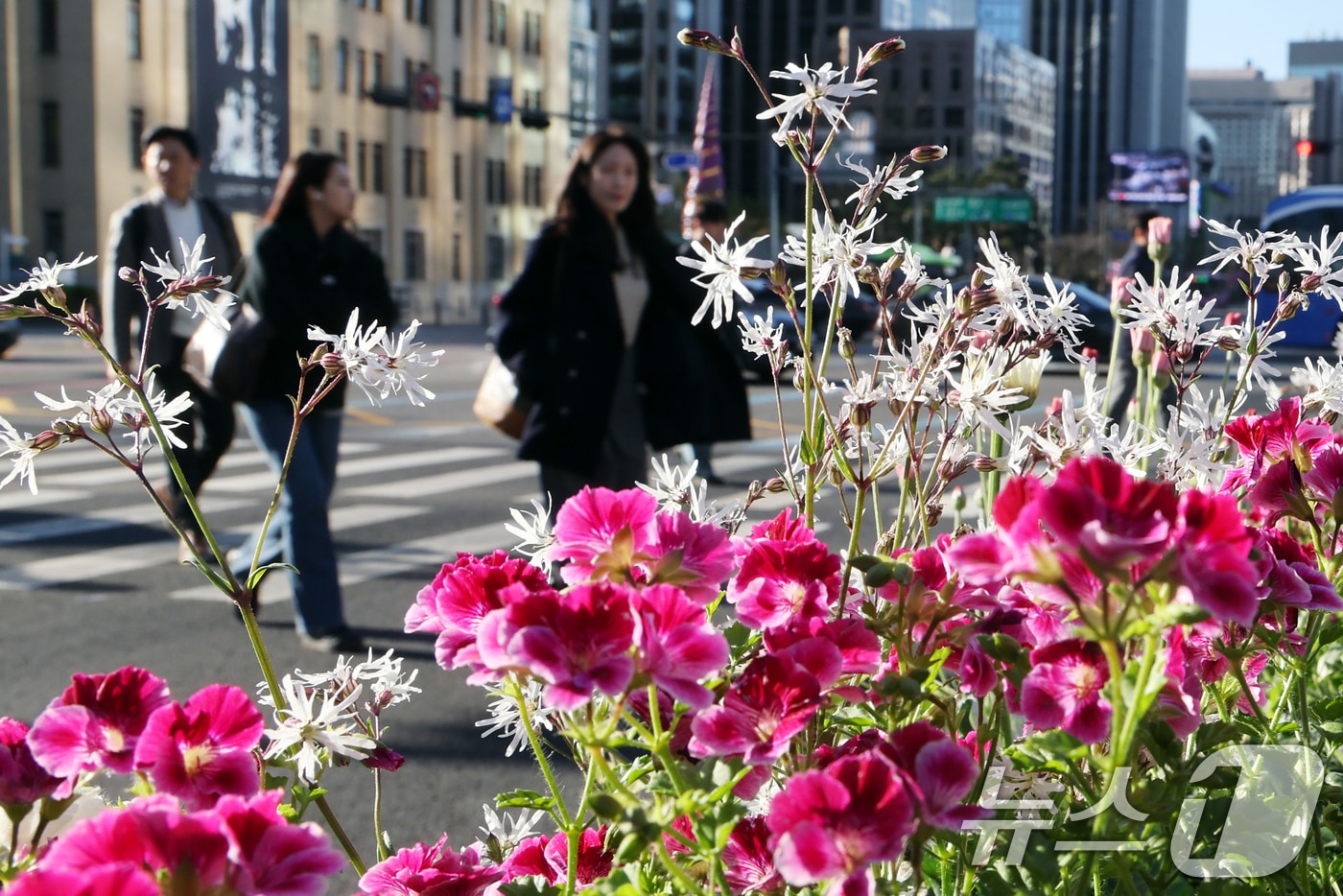 꽃샘추위가 찾아온 지난 7일 오전 서울 광화문 사거리에서 출근길 시민들이 발걸음을 재촉하고 있는 모습 ⓒ 뉴스1 황기선 기자