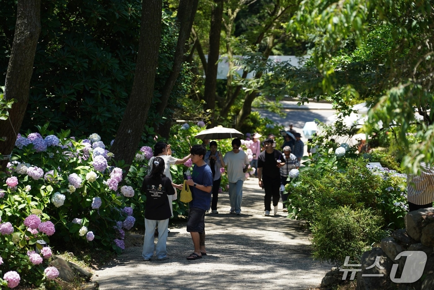 지난해 진행된 영도구 태종대 수국문화축제 현장 전경. (부산시설공단 제공. 재판매 및 DB금지)