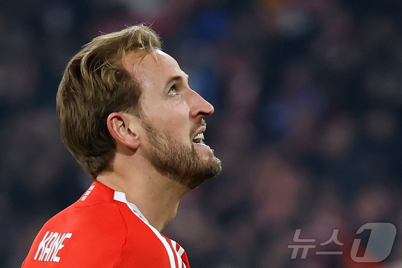 해리 케인이 훈련에 복귀한 바이에른 뮌헨 관련 이미지