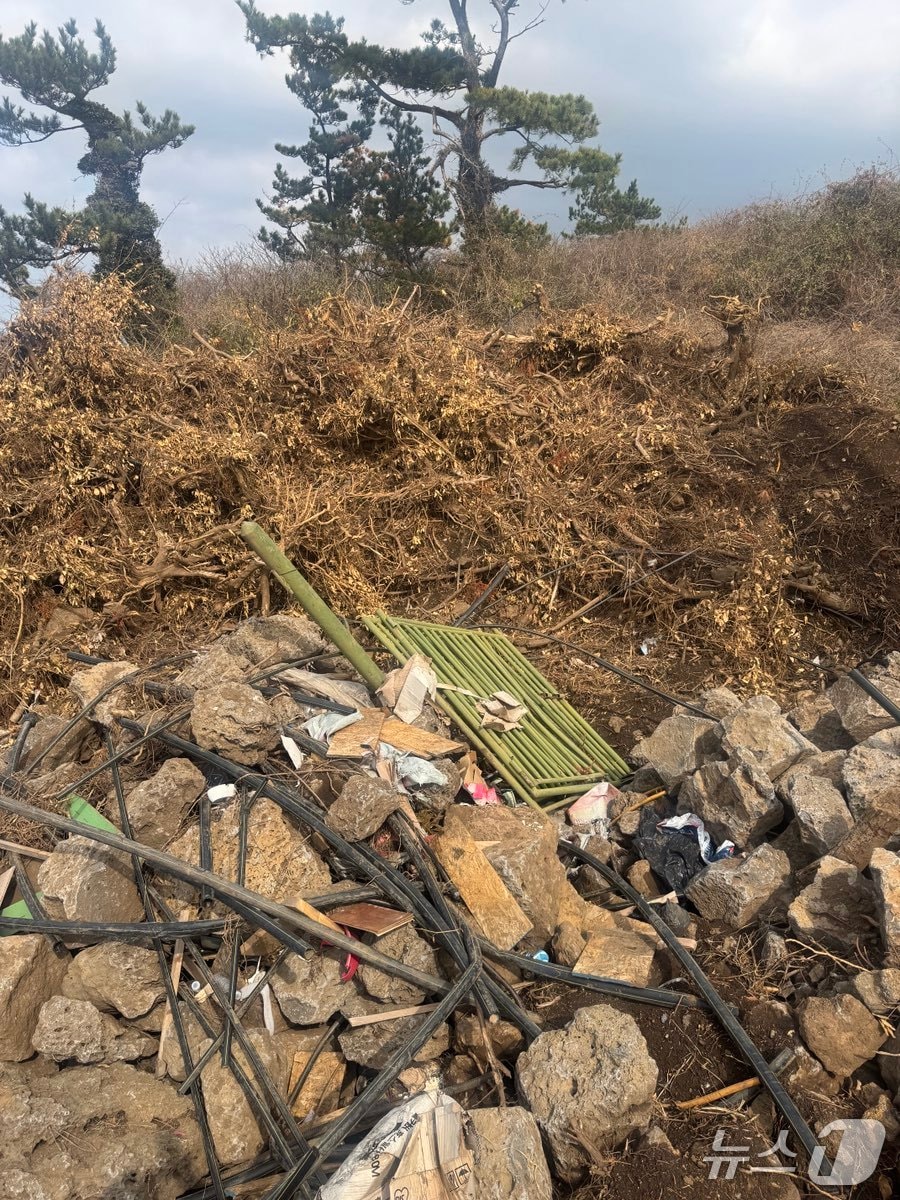 서귀포시 대정읍 일대 농지에 무단투기된 폐기물.(제주자치경찰 제공. 재판매 및 DB금지)/뉴스1