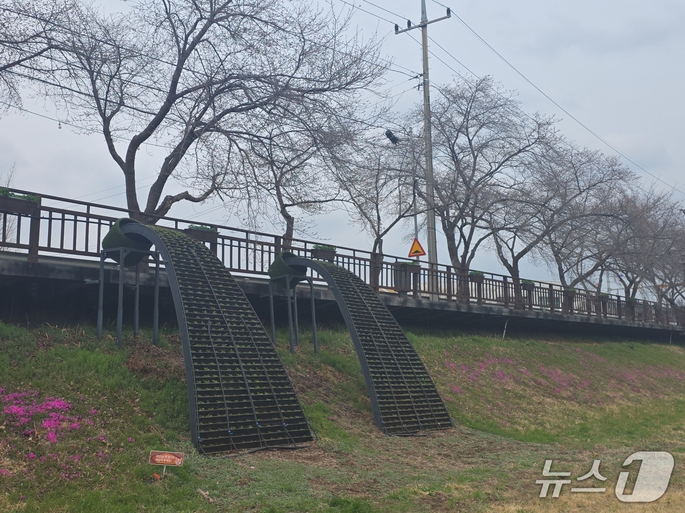 금산천 데크로 꽃폭포(금산군 제공.재판매 및 DB금지)/뉴스1