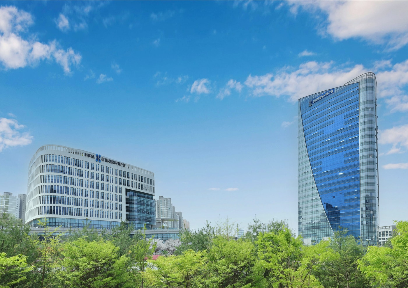 (건강보험심사평가원 제공)