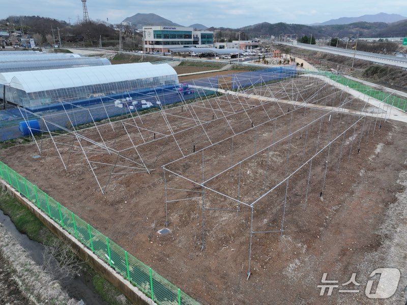 전북 임실군이 복숭아·사과의 경쟁력 강화와 노동력 문제 해결을 위해 미래형 과수 실증 시험포 조성을 완료했다.(임실군제공, 재판매 및 DB금지)2026.4.7/뉴스1