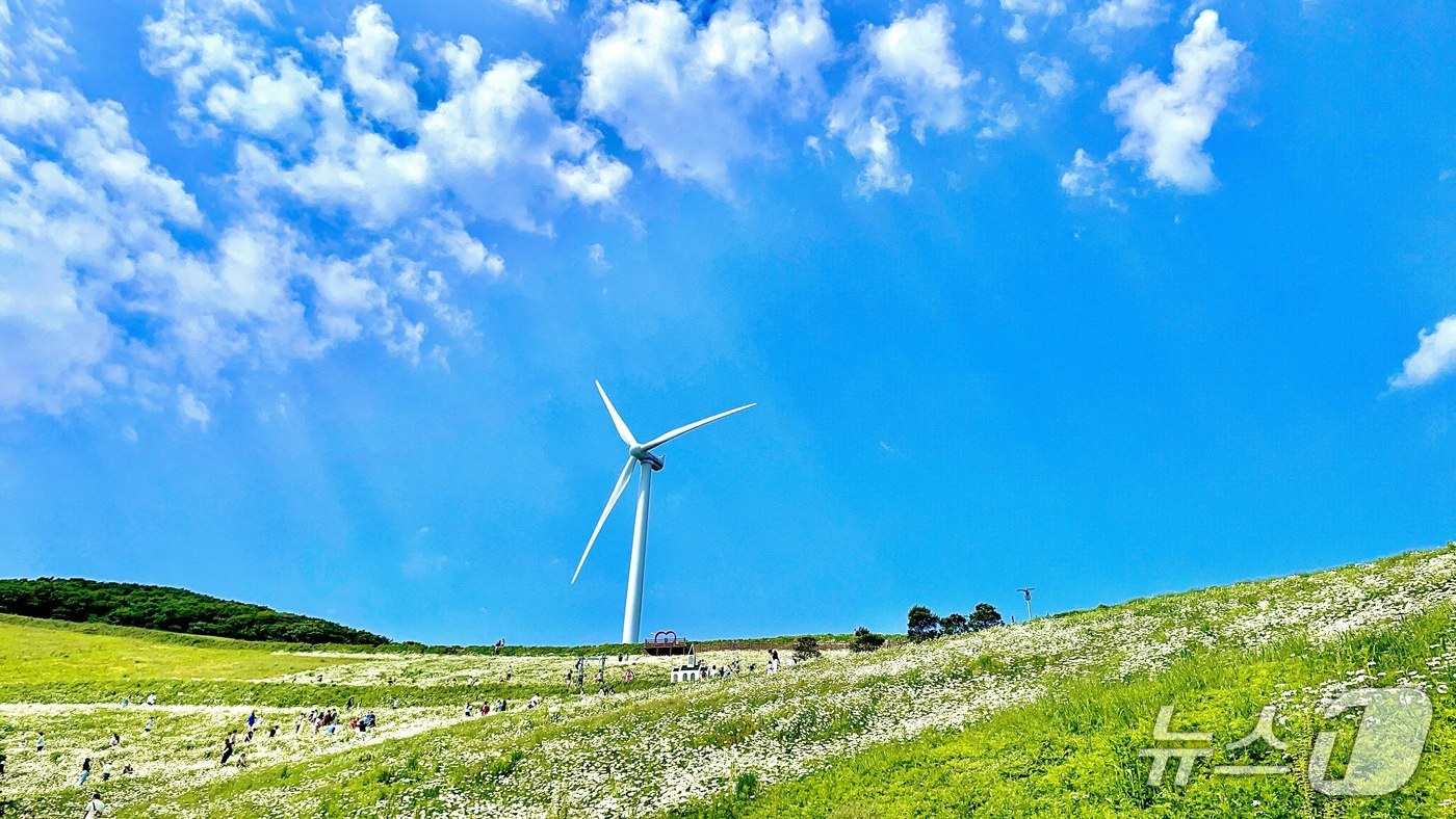강원 평창군 미탄면 청옥산 자료 사진. (평창군 제공. 재판매 및 DB금지) 2026.4.7/뉴스1