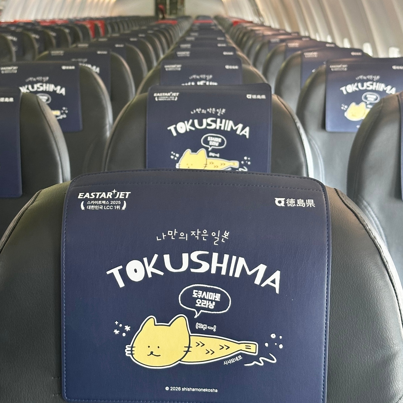 이스타항공 항공기 기내 헤드레스트 커버에 시샤모네코가 적용된 모습. (이스타항공 제공)