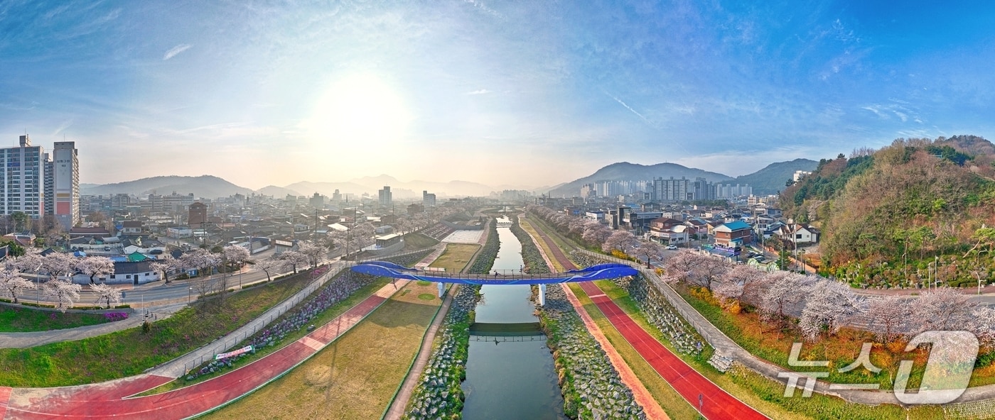벚꽃이 만개한 전북 정읍시 정읍천변 전경.(정읍시 제공. 재판매 및 DB금지)/뉴스1