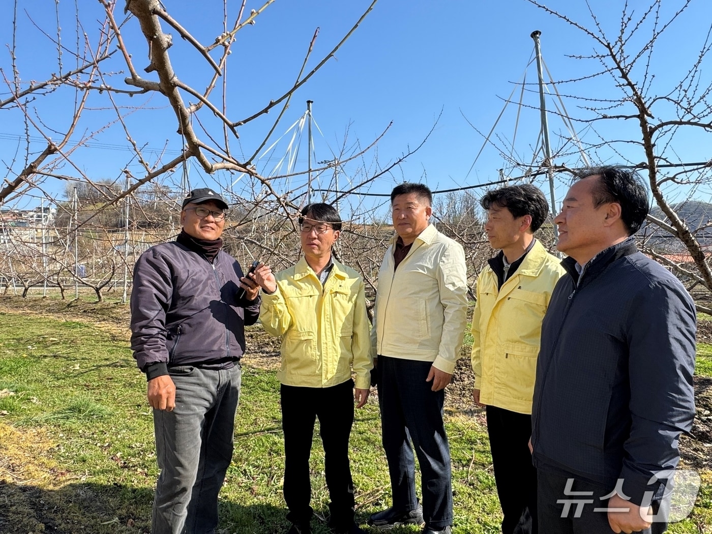 농협 괴산군지부와 불정농협이 과수농가를 찾아 저온 피해 예방 활동을 하고 있다.(농협 괴산군지부 제공. 재판매 및 DB금지)