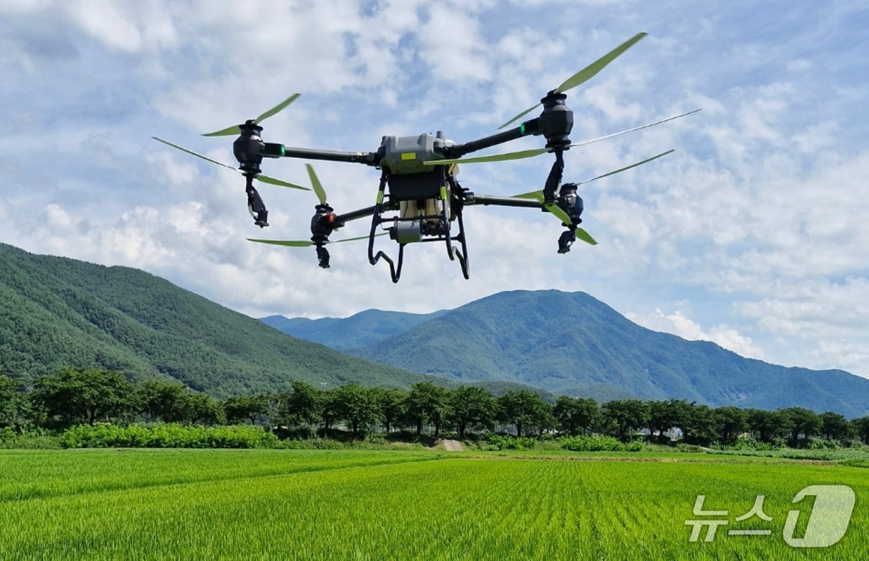 강원 정선군이 올해 10월까지 농업인들에게 드론 방제비용을 지원한다. (정선군 제공. 재판매 및 Db금지) 2026.4.8/뉴스1
