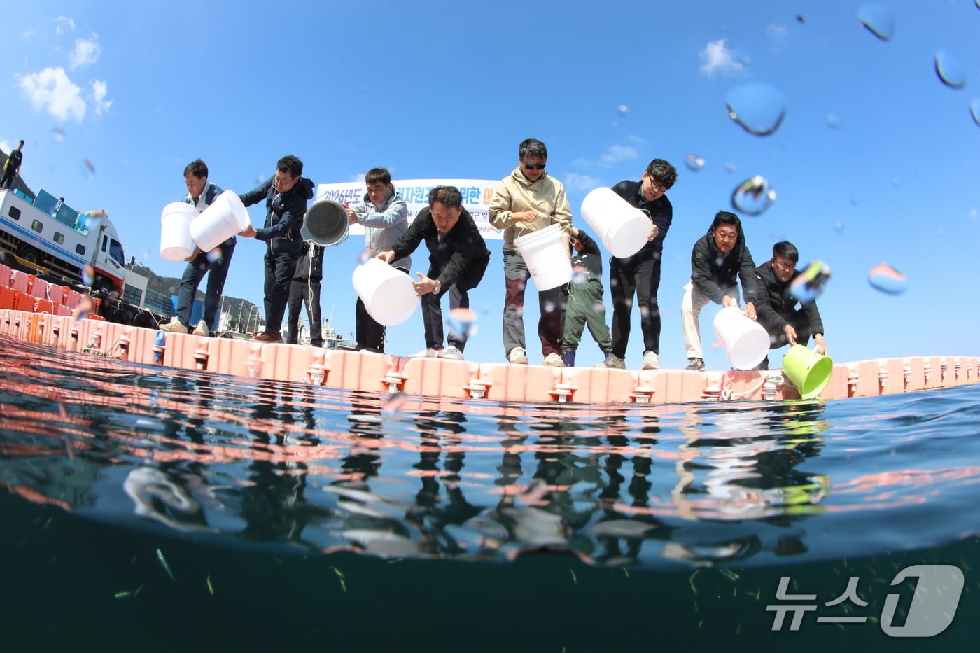 8일 진행된 토종 첨연어 방류 행사 모습 (수산자원공단 제공. 재판매 및 DB금지)