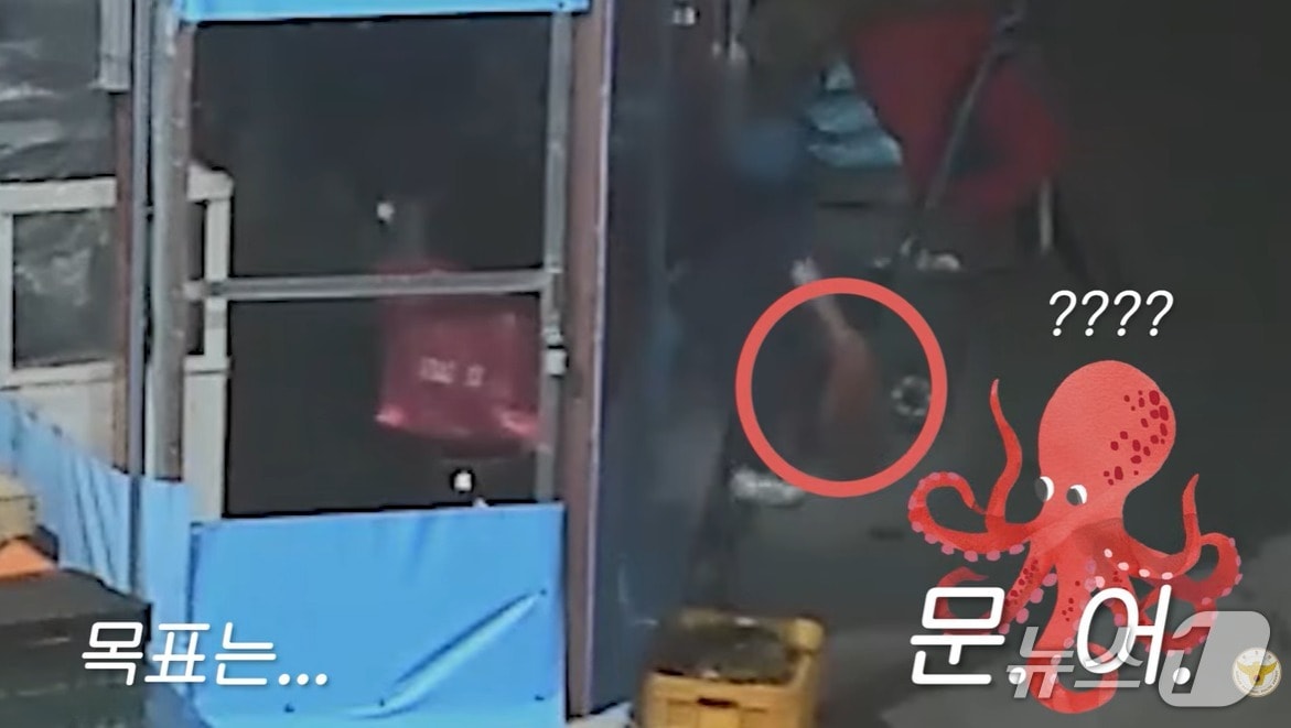 한 시민이 지난달 16일 울산 중구 소재 전통시장의 해산물 가게에서 문어를 훔치고 있다. (경찰청 유튜브 갈무. 재판매 및 DB금지)/뉴스1