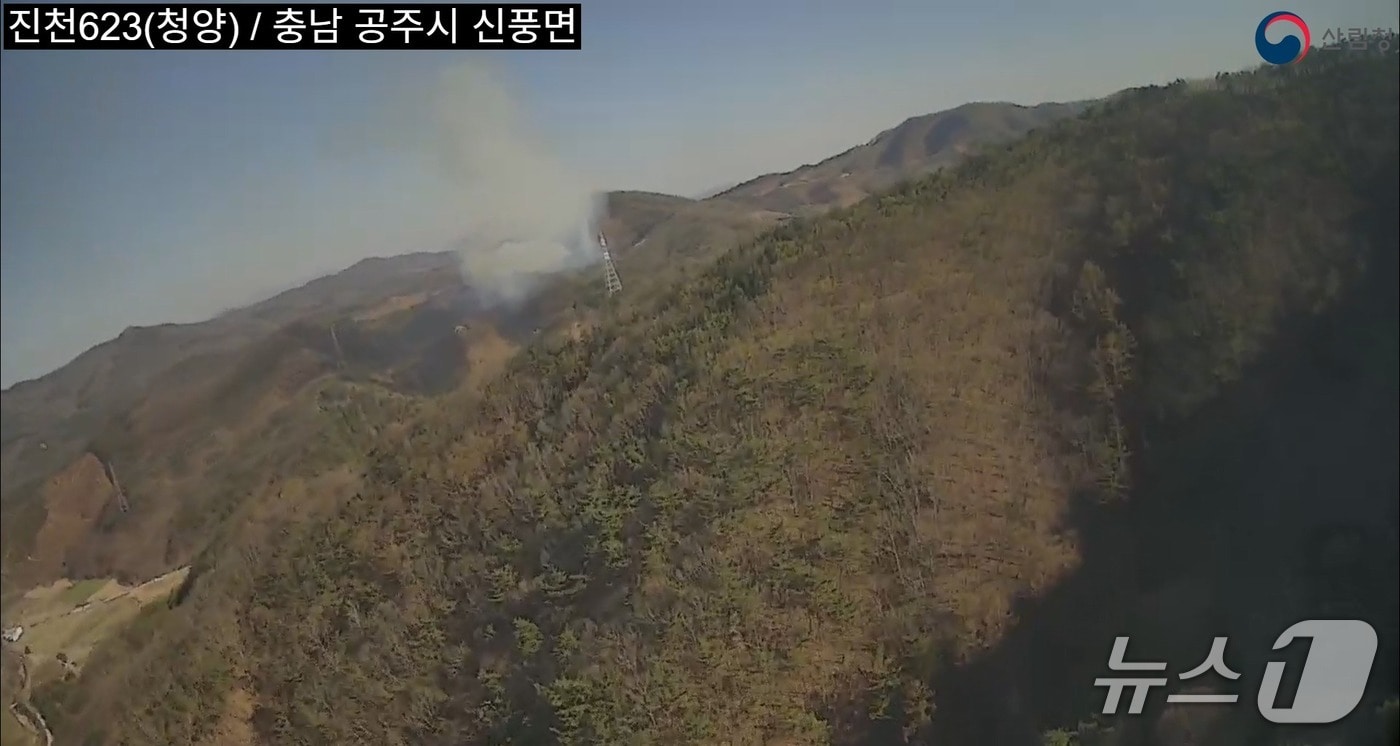  공주 신풍면 쌍대리 산불 현장.