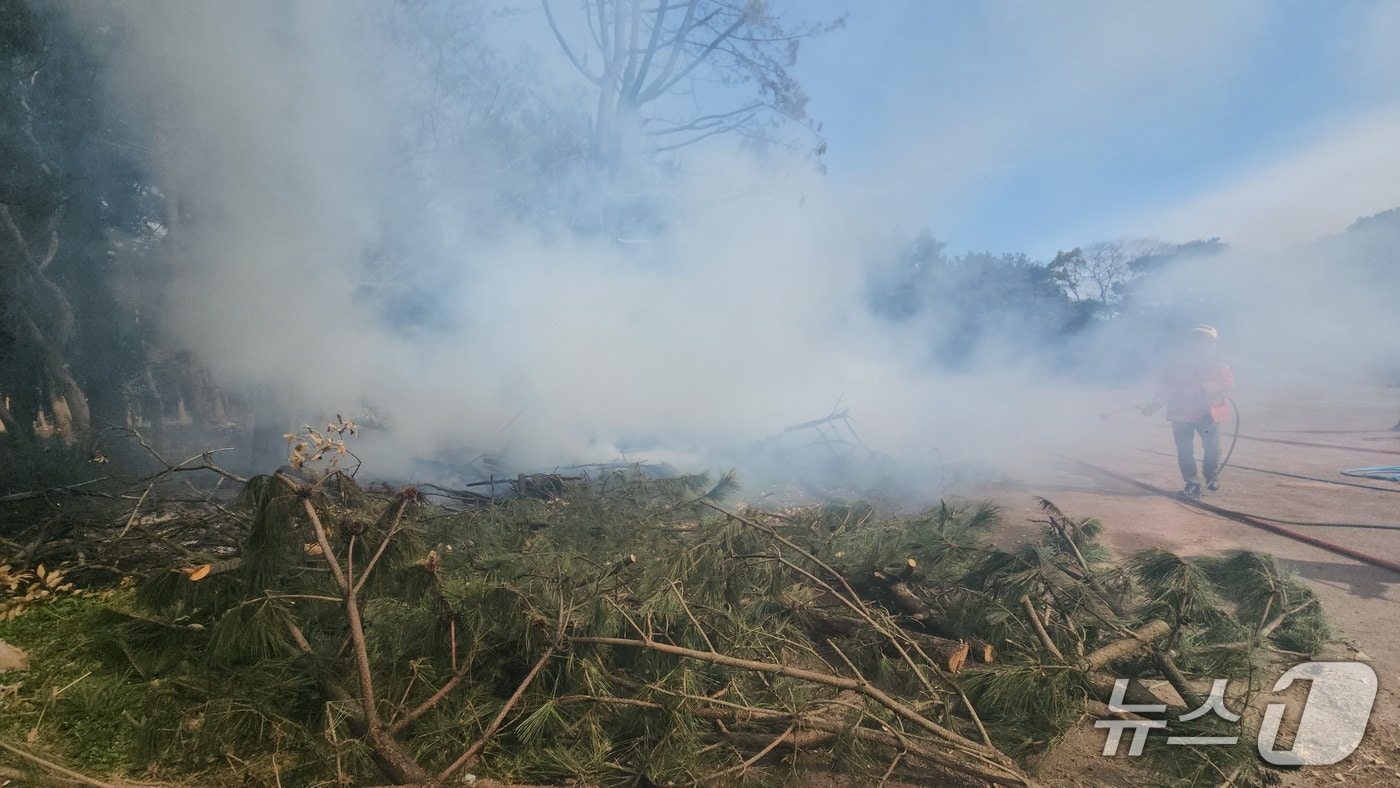 화재 현장 모습(제주소방안전본부 제공. 재판매 및 DB금지)/뉴스1